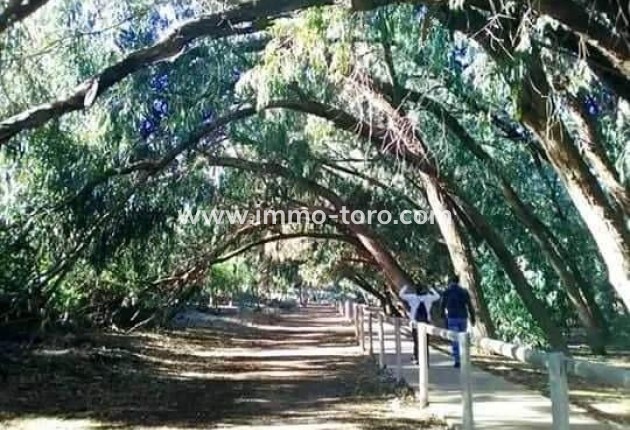 Nouvelle construction - Appartement - Torrevieja - Altos del Sol