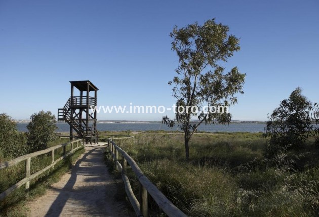 New Build - Apartment - Torrevieja - Altos del Sol