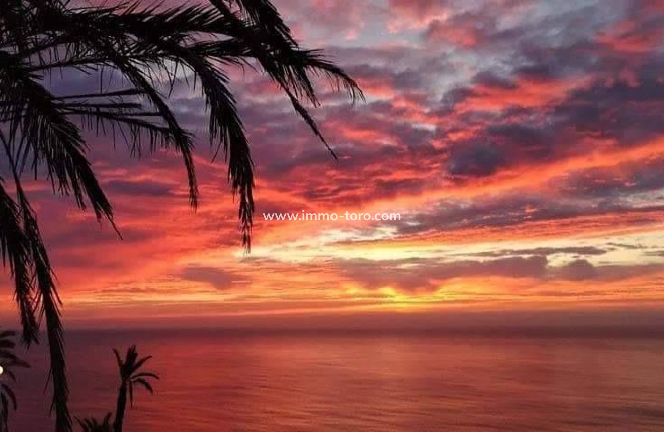 New Build - Apartment - Torrevieja - Altos del Sol