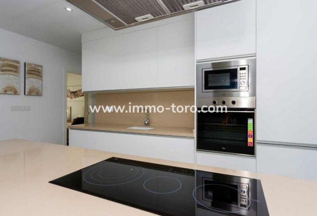 Nouvelle construction - Villa - Daya Nueva