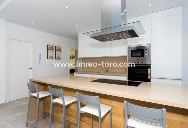 Nouvelle construction - Villa - Daya Nueva