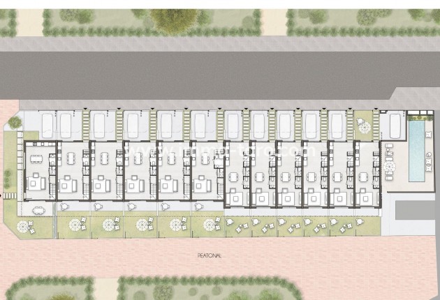 Nueva construcción  - Villa / Chalet - Pilar de la Horadada