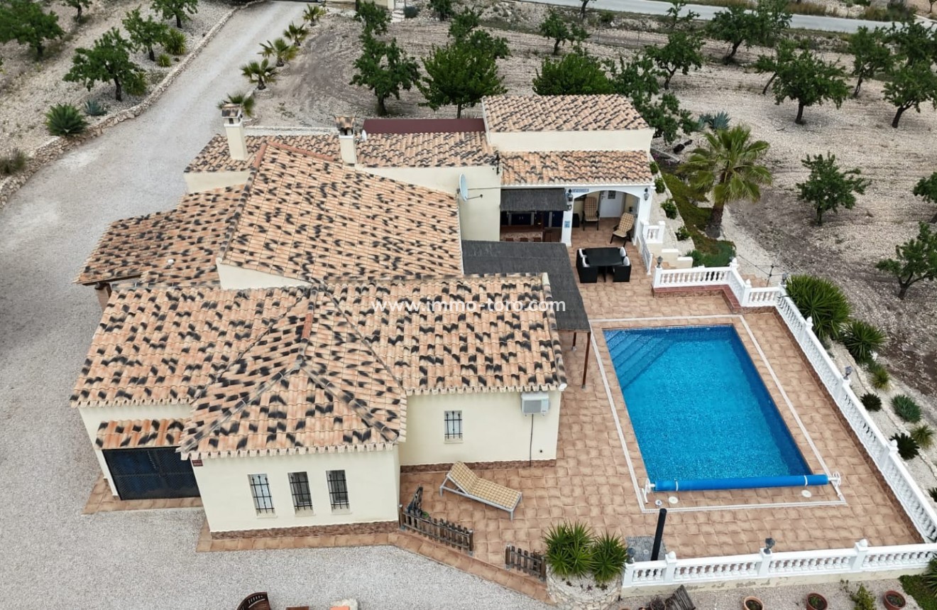 Resale - Villa - Sax - Salinas