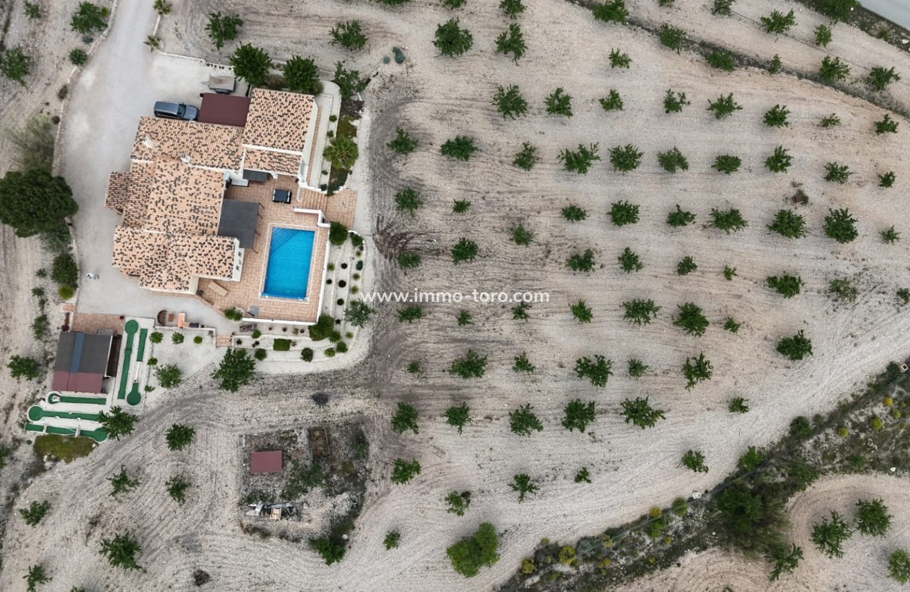 Resale - Villa - Sax - Salinas