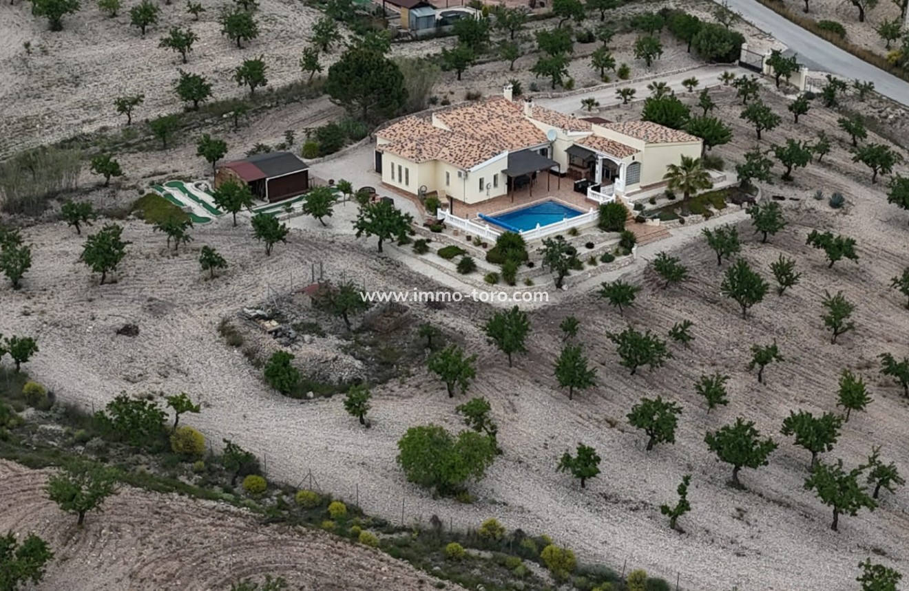 Resale - Villa - Sax - Salinas