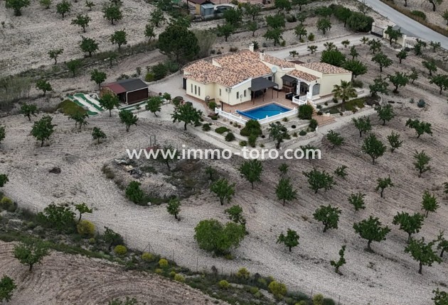 Resale - Villa - Sax - Salinas