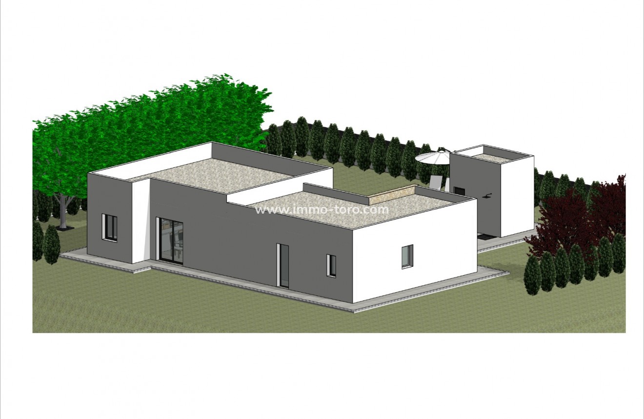 New Build - Villa - Pinoso