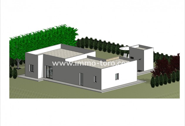 New Build - Villa - Pinoso
