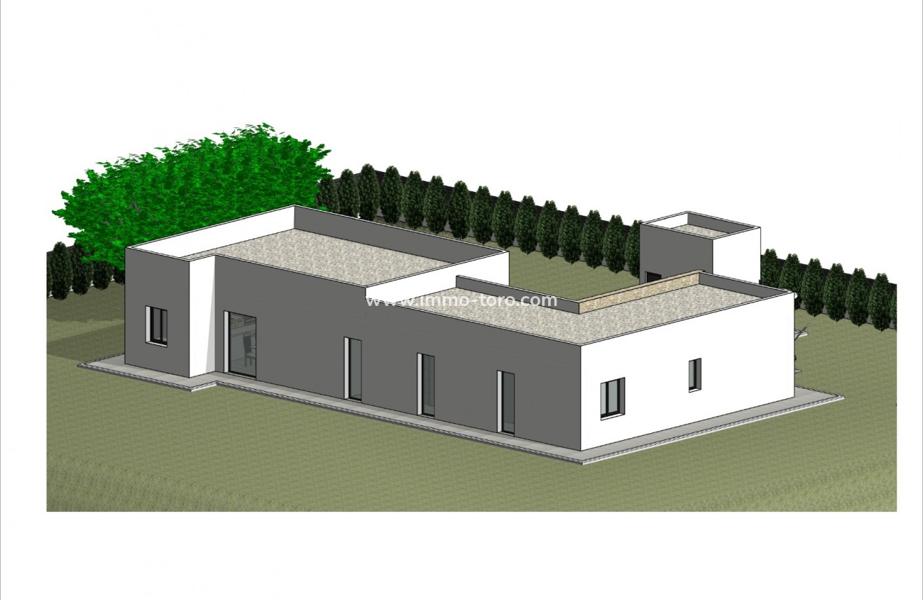 New Build - Villa - Pinoso