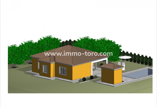 New Build - Villa - Pinoso