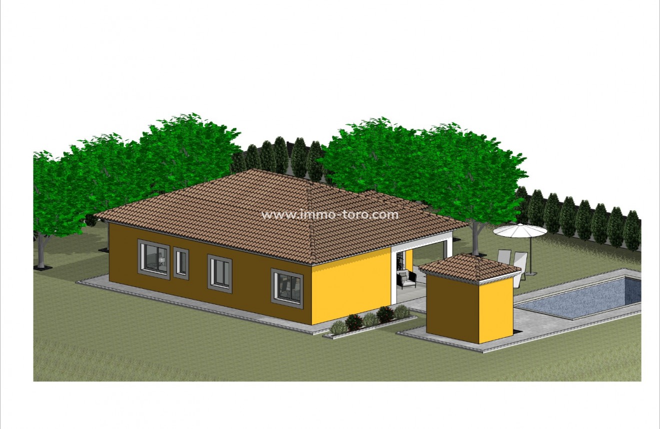 New Build - Villa - Pinoso