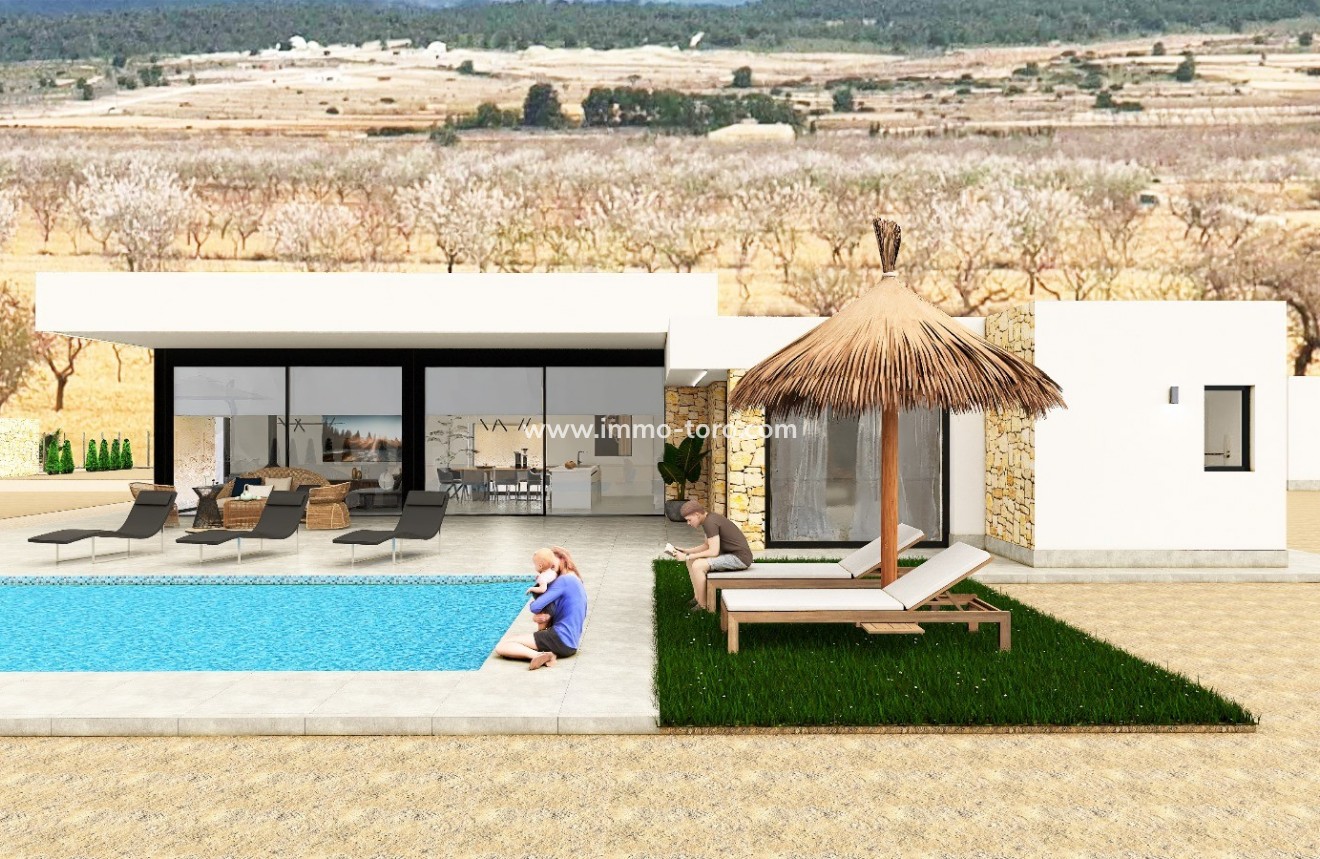 New Build - Villa - Pinoso