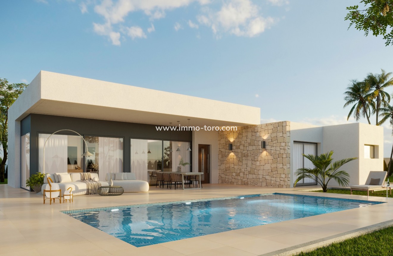 New Build - Villa - Pinoso