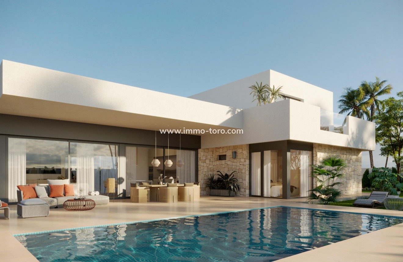 New Build - Villa - Pinoso