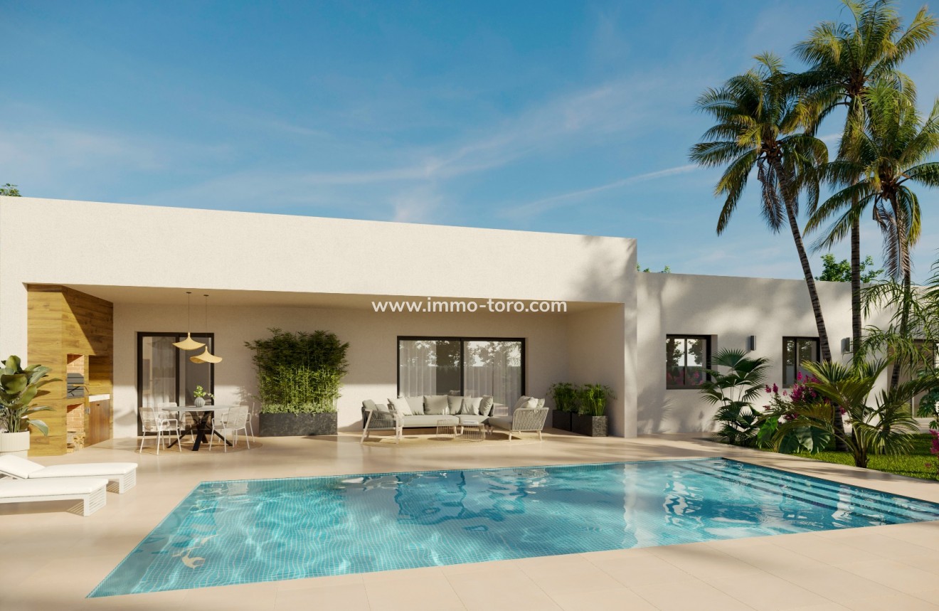 New Build - Villa - Pinoso