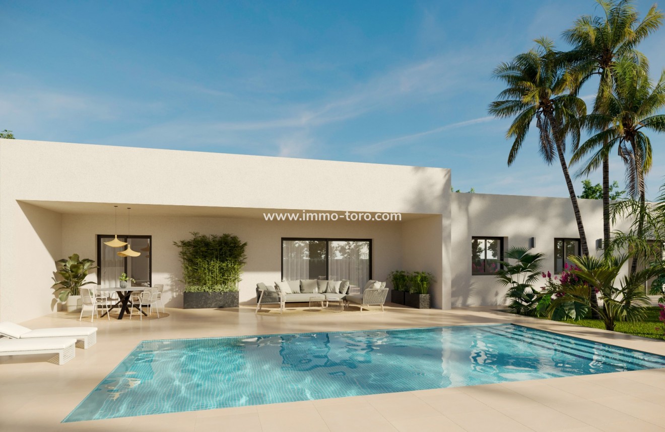 New Build - Villa - Pinoso