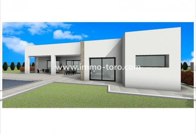 New Build - Villa - Pinoso