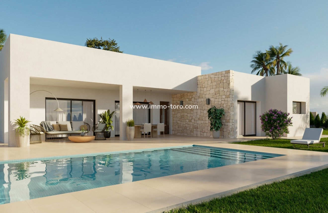 New Build - Villa - Pinoso