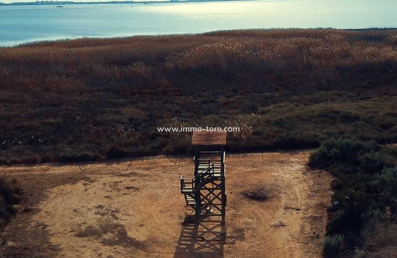 Nueva construcción  - Villa / Chalet - Los Montesinos - La herrada