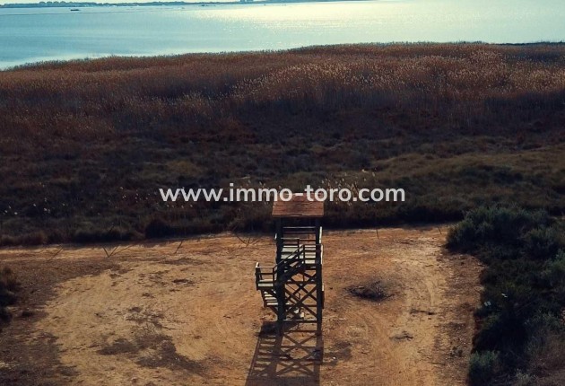 Nueva construcción  - Villa / Chalet - Los Montesinos - La herrada