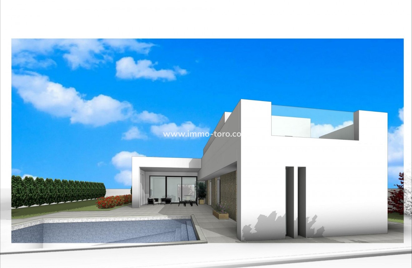 Nueva construcción  - Villa / Chalet - Aspe - Poligono 19