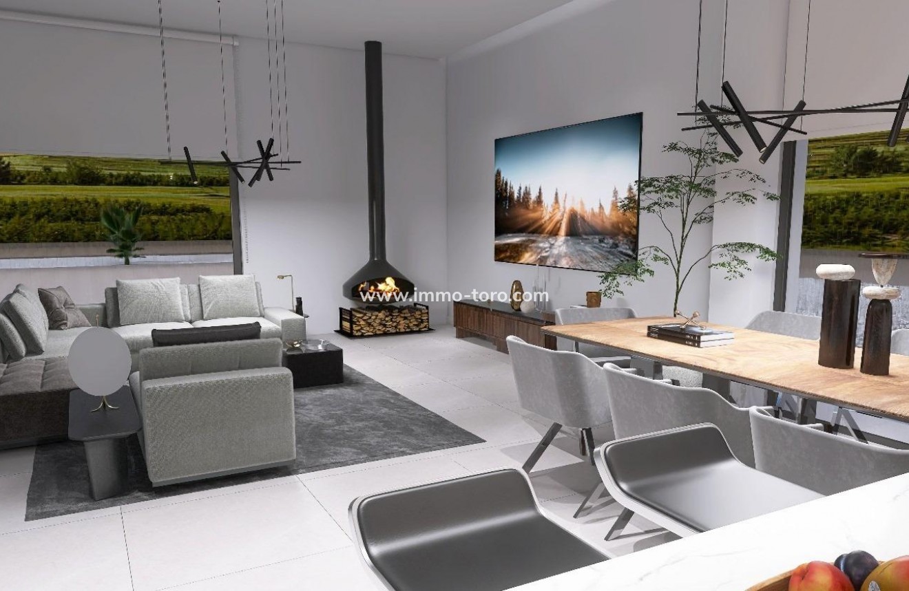 Nueva construcción  - Villa / Chalet - Aspe - Poligono 19