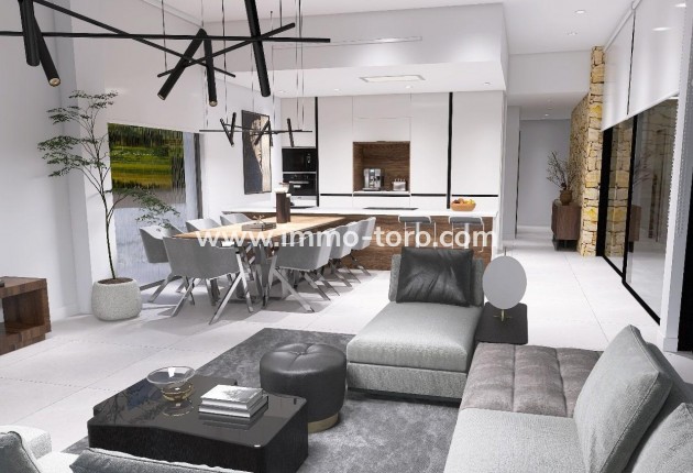 Nueva construcción  - Villa / Chalet - Aspe - Poligono 19