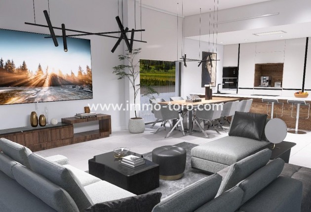 Nueva construcción  - Villa / Chalet - Aspe - Poligono 19