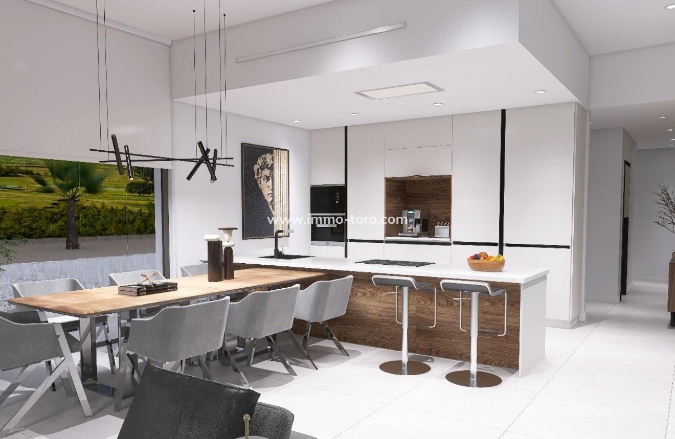 Nueva construcción  - Villa / Chalet - Aspe - Poligono 19