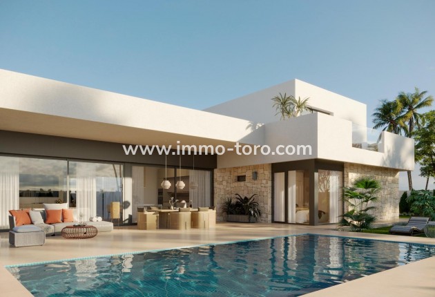 Nueva construcción  - Villa / Chalet - Aspe - Poligono 19