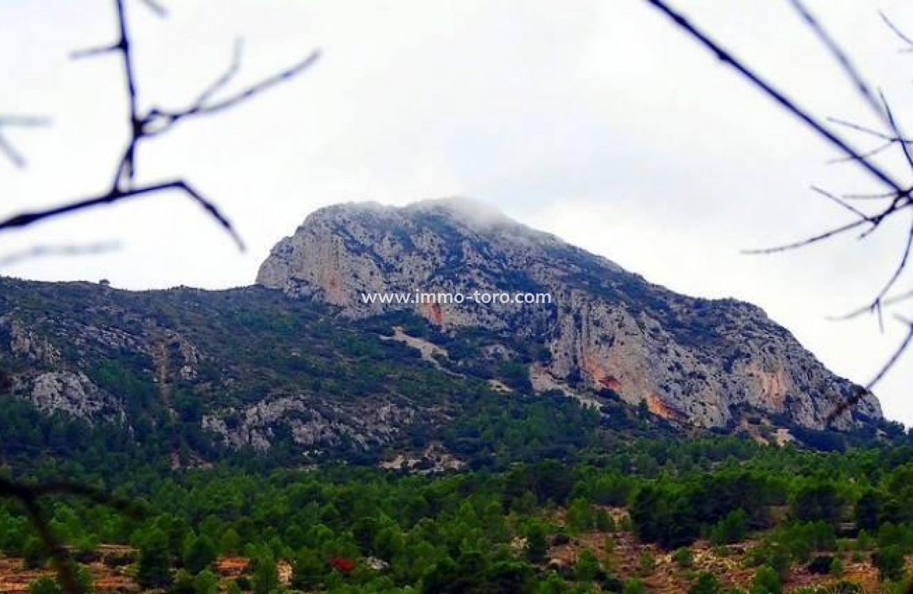 New Build - Villa - La Romana - Batistes