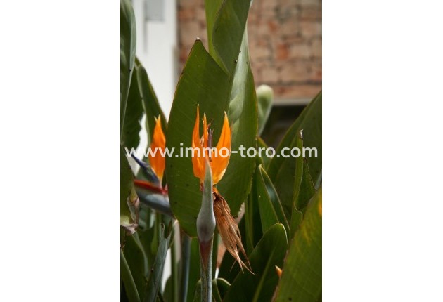 Resale - Villa - Moraira