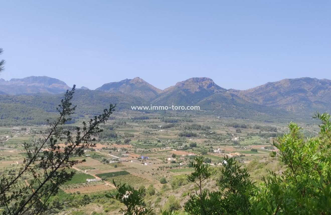 Resale - Plot - Jalon - Jalón