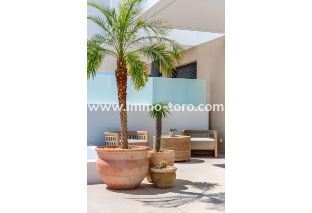 New Build - Villa - Dolores