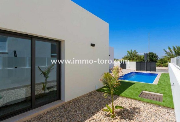 Nouvelle construction - Villa - Daya Nueva