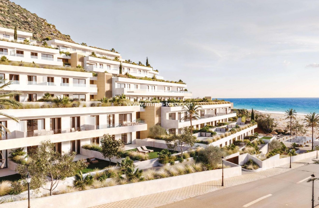 Nouvelle construction - Penthouse - Mojacar - Playa Macenas (Mojácar)