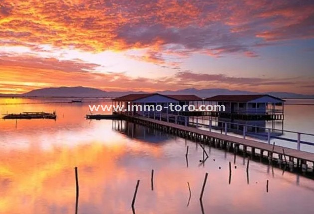 New Build - Penthouse - San Pedro del Pinatar - Los Pinos