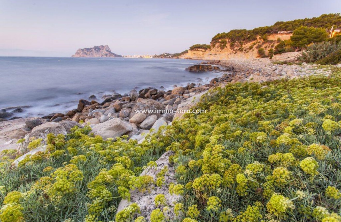 New Build - Villa - Benissa - Cala Advocat