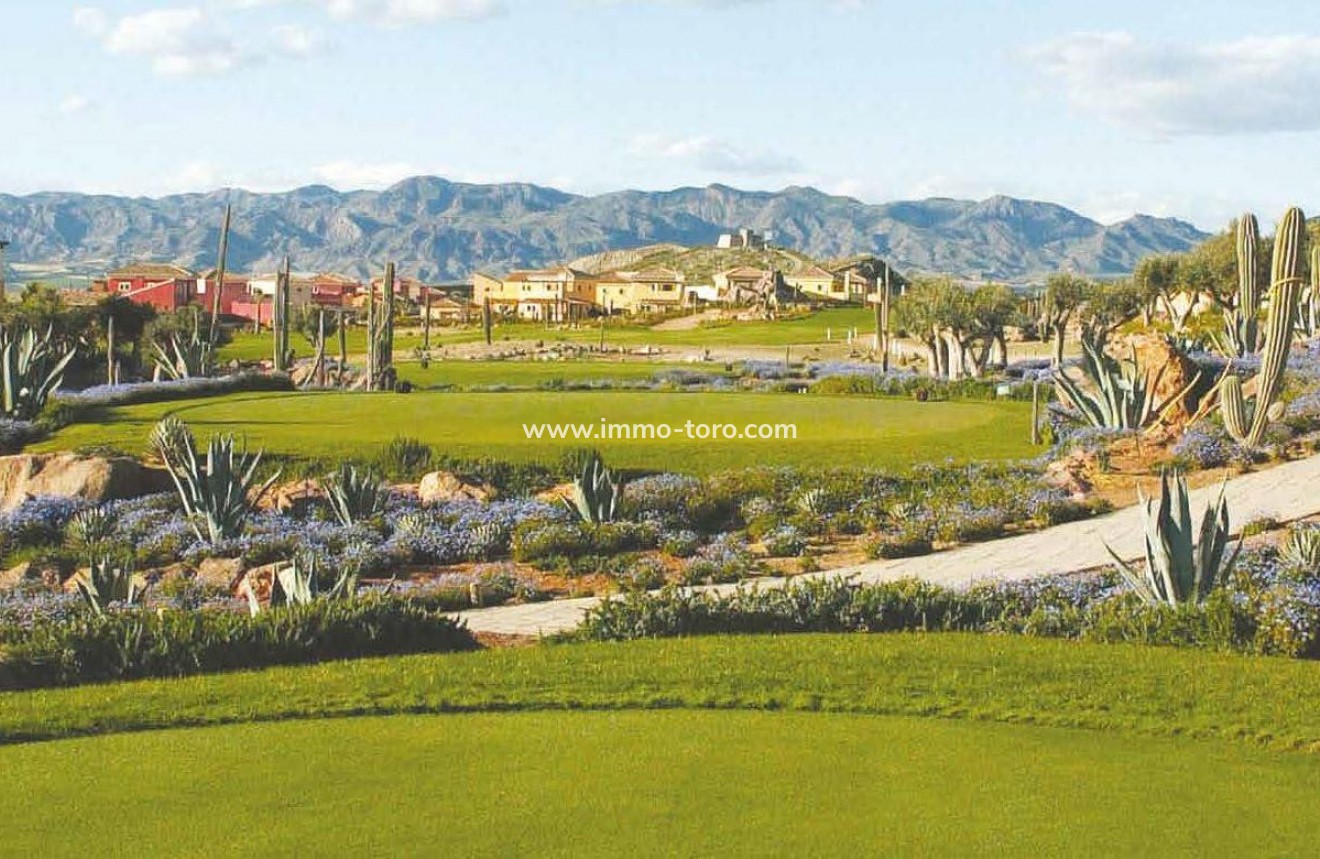New Build - Villa - Cuevas Del Almanzora - Desert Springs Golf Club