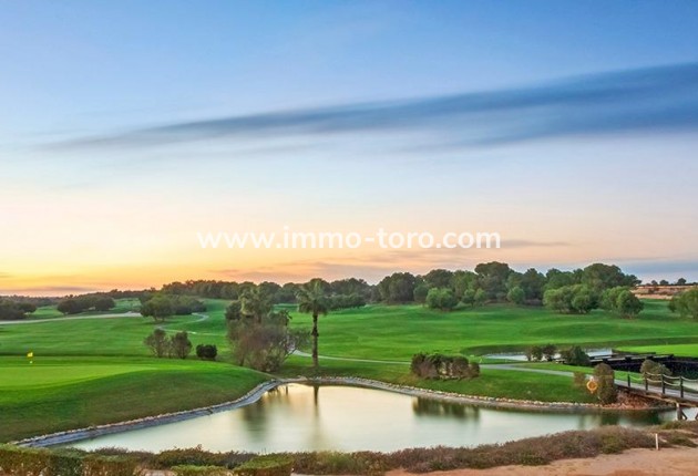 New Build - Villa - Pilar de la Horadada - Lo Romero Golf