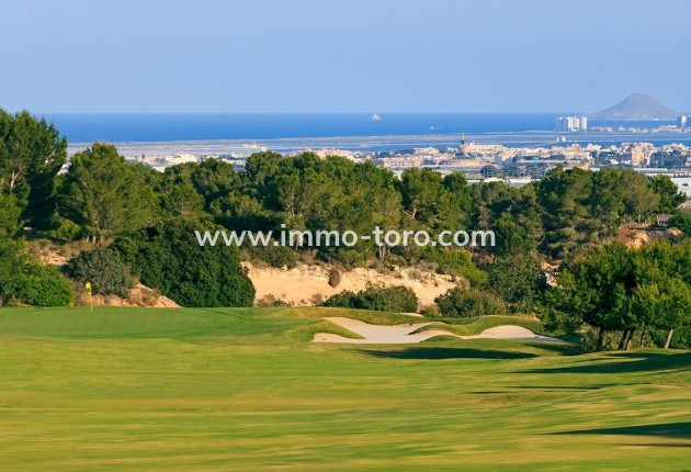 New Build - Villa - Pilar de la Horadada - Lo Romero Golf