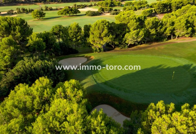 New Build - Villa - Pilar de la Horadada - Lo Romero Golf