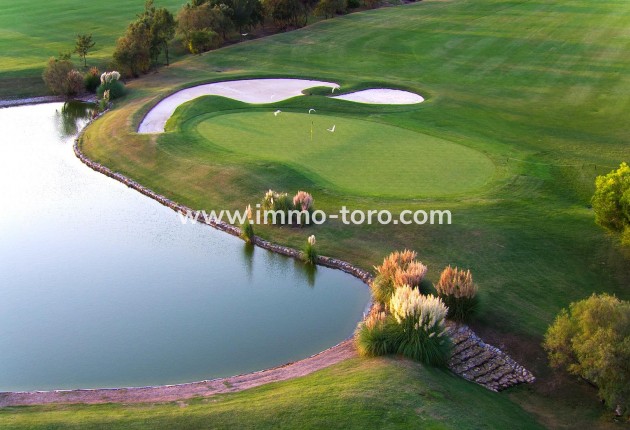 New Build - Villa - Pilar de la Horadada - Lo Romero Golf