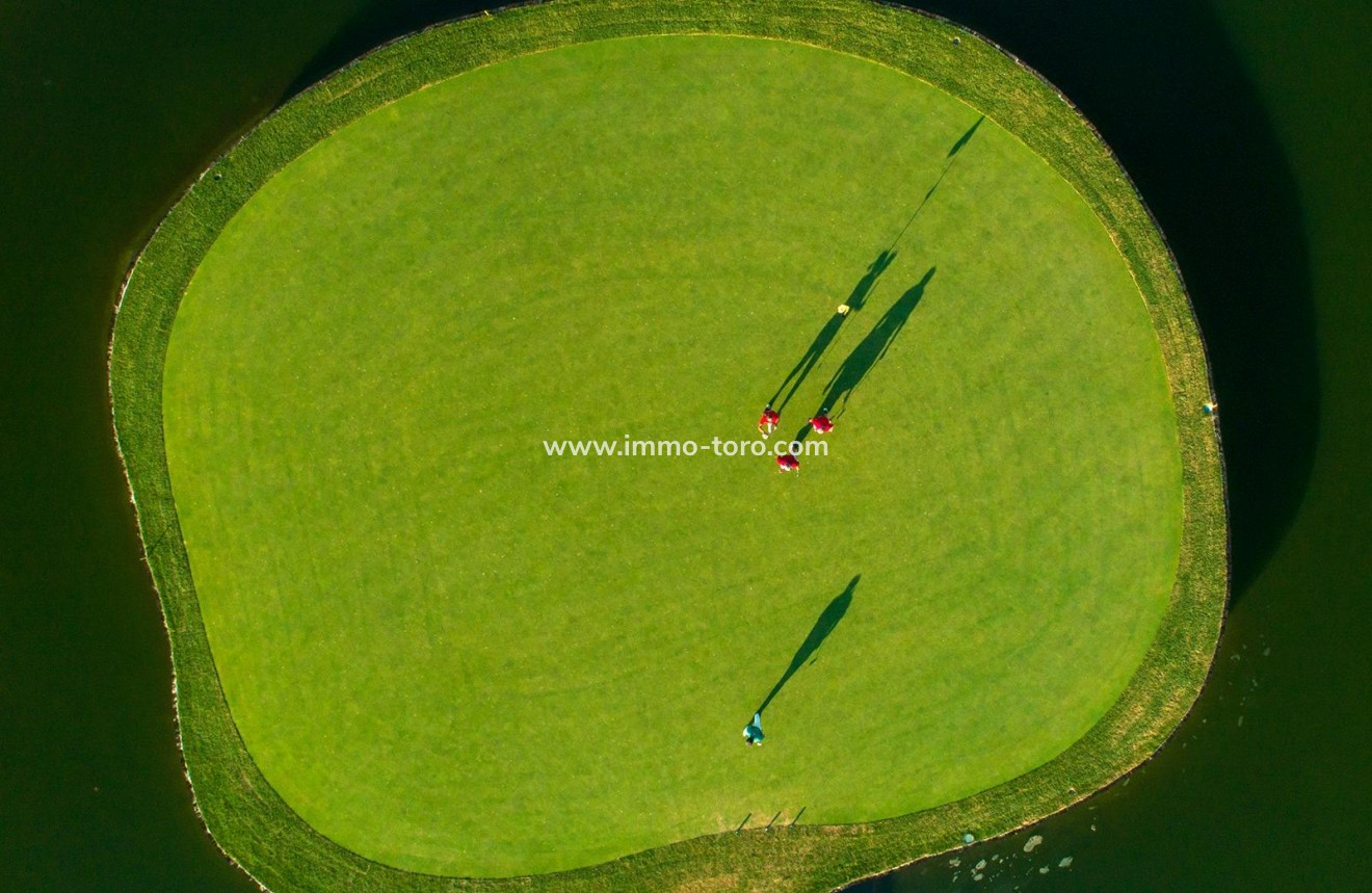 New Build - Villa - Pilar de la Horadada - Lo Romero Golf