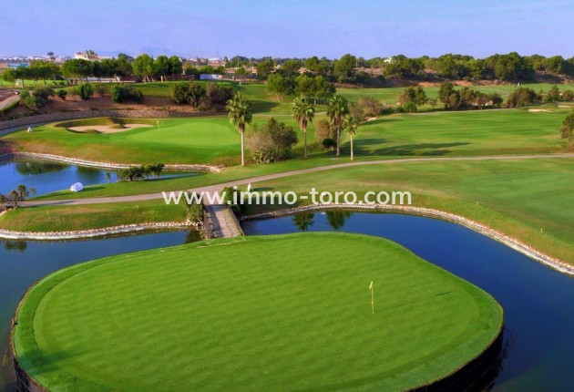 New Build - Villa - Pilar de la Horadada - Lo Romero Golf
