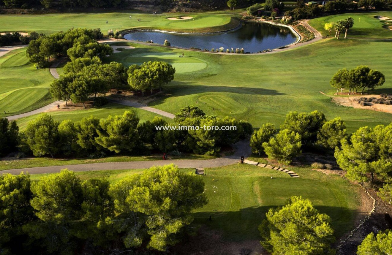 New Build - Villa - Pilar de la Horadada - Lo Romero Golf