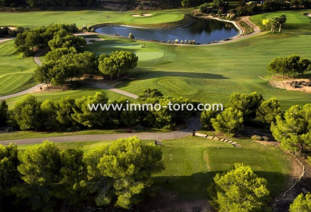 New Build - Villa - Pilar de la Horadada - Lo Romero Golf