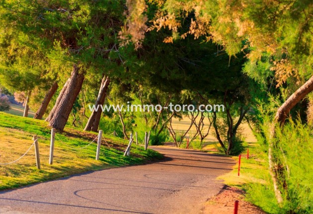 New Build - Villa - Pilar de la Horadada - Lo Romero Golf