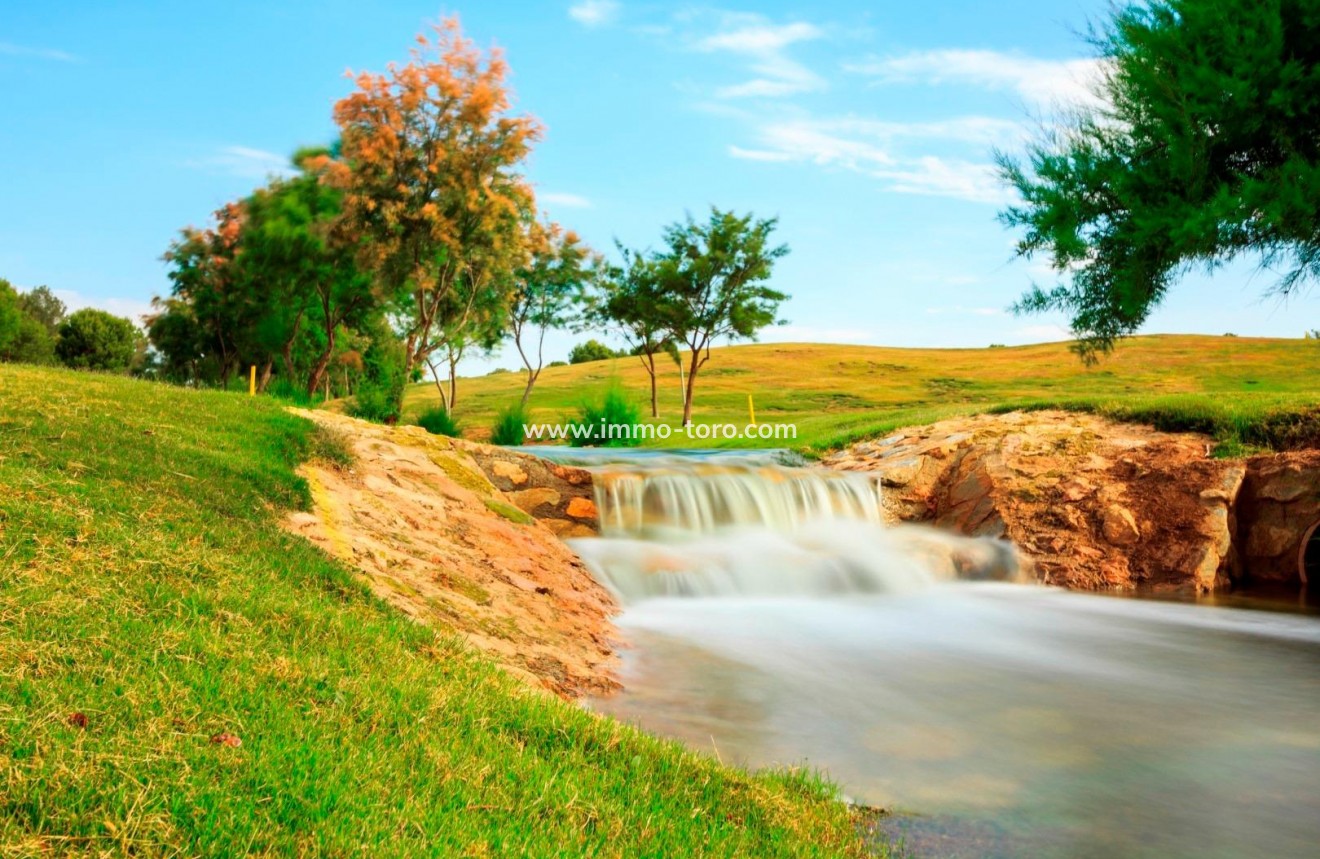 New Build - Villa - Pilar de la Horadada - Lo Romero Golf