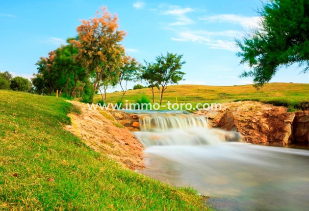 New Build - Villa - Pilar de la Horadada - Lo Romero Golf